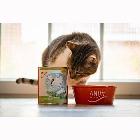 Cat Wet pet food Turkey's Delight (Puterichs Delight) 200g 6 Piece -6- Anifit